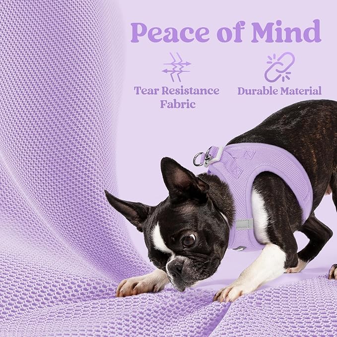 rabbitgoo Small Dog Harness, Step-in Soft Mesh Puppy Vest with Safety Buckle, Breathable Reflective Pet Harness for Extra Small Dogs, Light Purple XXS