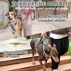 PUPTECK Escape Proof Dog Harness with Padded Handle, No Pull Pet Vest Harness Durable Reflective for Medium Large Dogs Walking Training and Running, Moccasin, M
