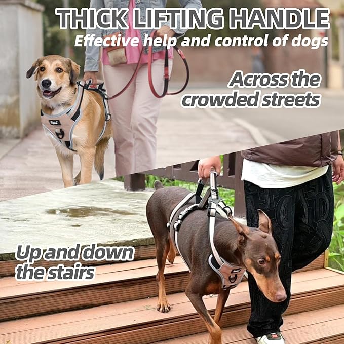 PUPTECK Escape Proof Dog Harness with Padded Handle, No Pull Pet Vest Harness Durable Reflective for Medium Large Dogs Walking Training and Running, Moccasin, M