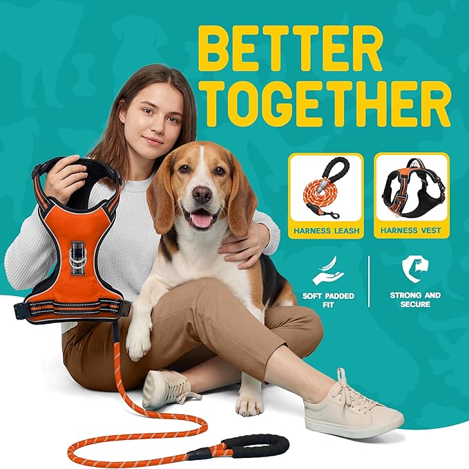 No Pull Dog Harness and Leash Set for Medium Dogs – Adjustable Reflective Breathable Soft Padded Easy Control Dog Harness for Training & Walking, Orange (Medium)