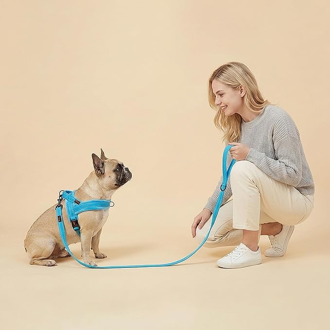 Didog Soft Flannel Padded Dog Vest Harness, No Pull/Quick Fit Reflective Dog Strap Harness, Easy for Training Walking (XS:Chest 15-18", Blue)