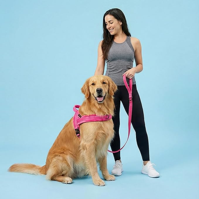 Didog Soft Flannel Padded Dog Vest Harness, No Pull/Quick Fit Reflective Dog Strap Harness, Easy for Training Walking (M:Chest 22-26", Hot Pink)