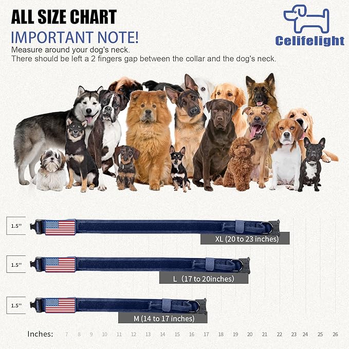 Tactical Nylon Dog Collar - Heavy Duty Metal Buckle with Handle for Dog Training, with Patches (Blue, L)
