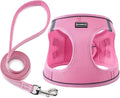BOOMIBOO Dog Harness with Leash Set, No Pull Adjustable Reflective Step-in Puppy Pet Vest Harnesses for Small Medium Large Dogs and Cats,Pink M