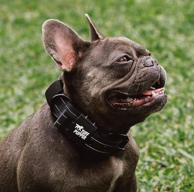Tuff Pupper Heavy Duty Tactical Dog Collar | 1.25" Wide Ballistic Nylon | Reflective Stitching | Integrated ID Tag Holder | Stainless Steel Buckle | Padded Lining | Small & Medium Dogs (Black, Small)
