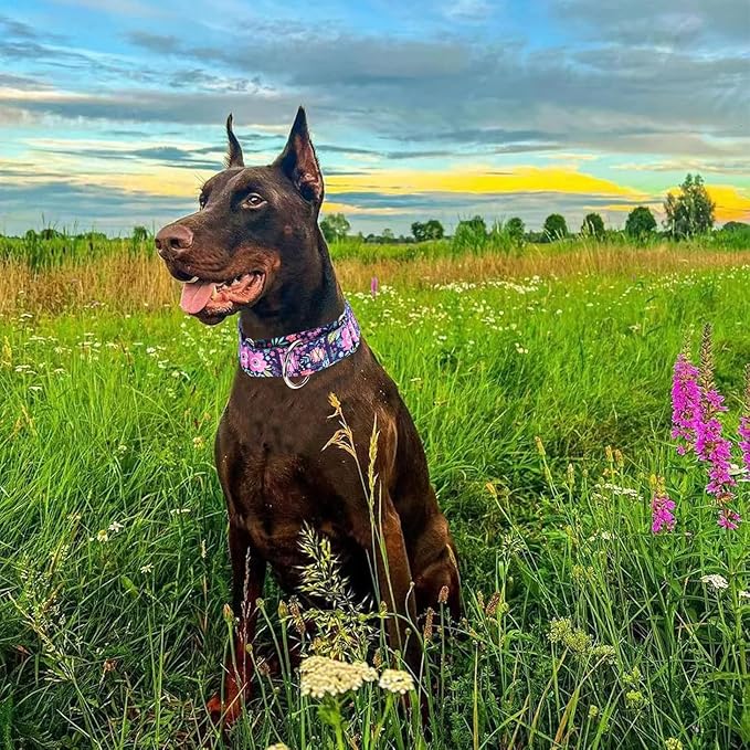 Martingale Dog Collar 1.5 Inch Wide - Bohemian Floral Print Adjustable Nylon No-Pull Training Collar for Large/XL Dogs, Heavy Duty Design for Walking, Hunting & Outdoor Activities (L)