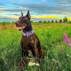 Martingale Dog Collar 1.5 Inch Wide - Bohemian Floral Print Adjustable Nylon No-Pull Training Collar for Medium/Large/XL Dogs, Heavy Duty Design for Walking, Hunting & Outdoor Activities (M)