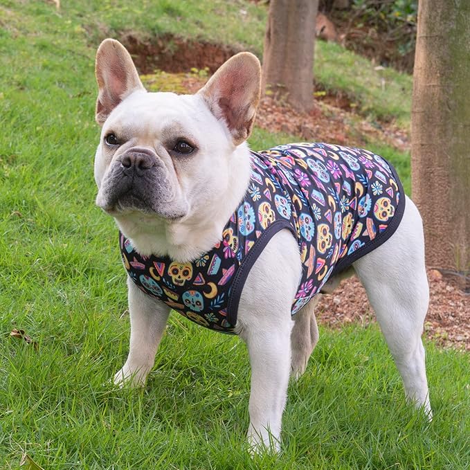CuteBone Halloween Dog Shirts 2-Pack Soft Pet Clothes Breathable Summer Vest for Small Puppy and Stretchy Cat Apparel 2BX07L
