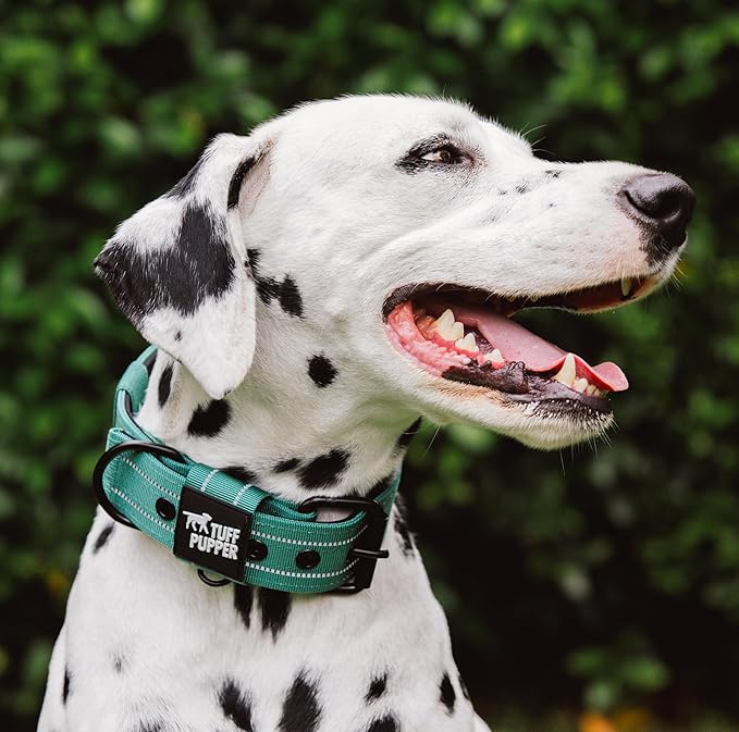 Tuff Pupper Heavy Duty Tactical Dog Collar | 1.5" Wide Ballistic Nylon | Reflective Stitching | Integrated ID Tag Holder | Stainless Steel Buckle | Padded Lining | Medium & Large Dogs (Green, Large)