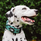 Tuff Pupper Heavy Duty Tactical Dog Collar | 1.5" Wide Ballistic Nylon | Reflective Stitching | Integrated ID Tag Holder | Stainless Steel Buckle | Padded Lining | Medium & Large Dogs (Green, Large)