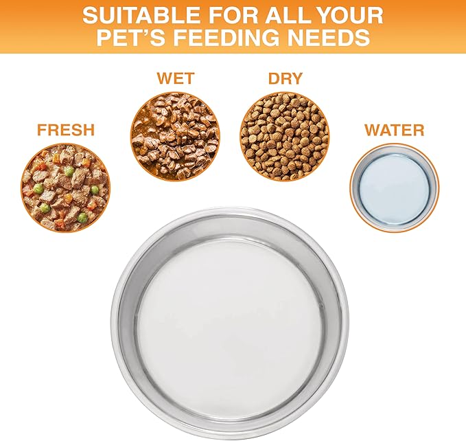 Neater Pet Brands Stainless Steel Dog Bowls with Non-Slip Rubber Bottom – 3 Cup (24 oz), Teal - Set of 2 Heavy Duty Metal Dog Bowls, Dishwasher Safe, Food or Water Bowl, Ideal for Small to Medium Dogs
