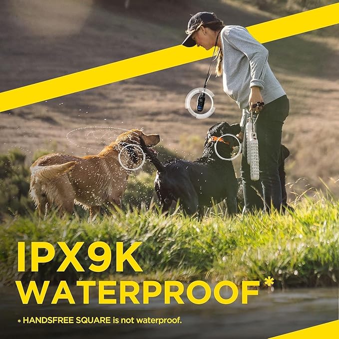 Dogtra 1902S HANDSFREE Plus Boost and Lock, Remote Dog Training E-Collar, HANDSFREE Square, 3/4-Mile Range, Rechargeable, Waterproof, High-Output, 2 Dog System, eCollar for Medium, Large Dogs