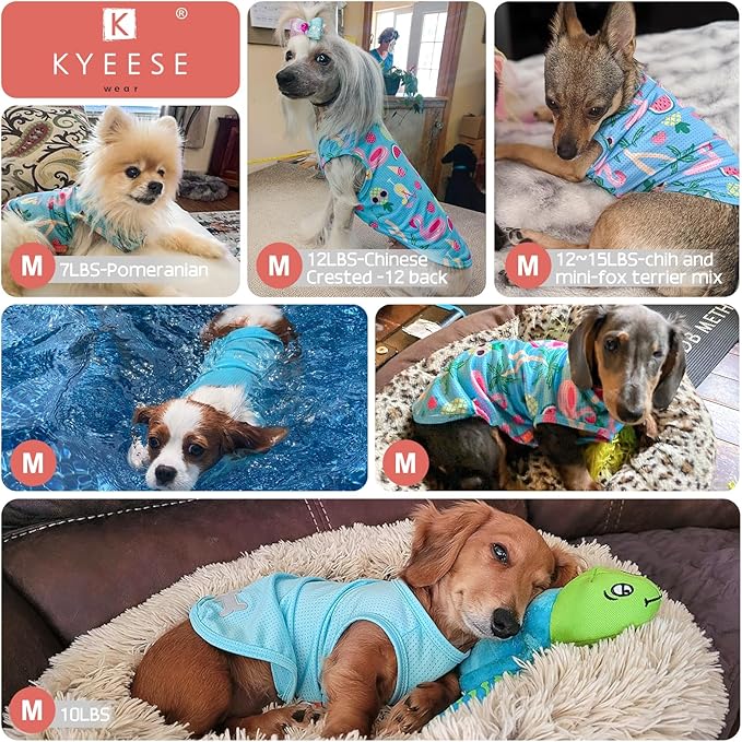 KYEESE 2Pack Dog Shirt, Lightweight Sun Protection Dog T Shirts for Small Dogs Girl, Breathable Mesh Tank Top Sleeveless Pet Reflective Vest, Soft Summer Dogs Clothes, Strawberry+Rose Red, M
