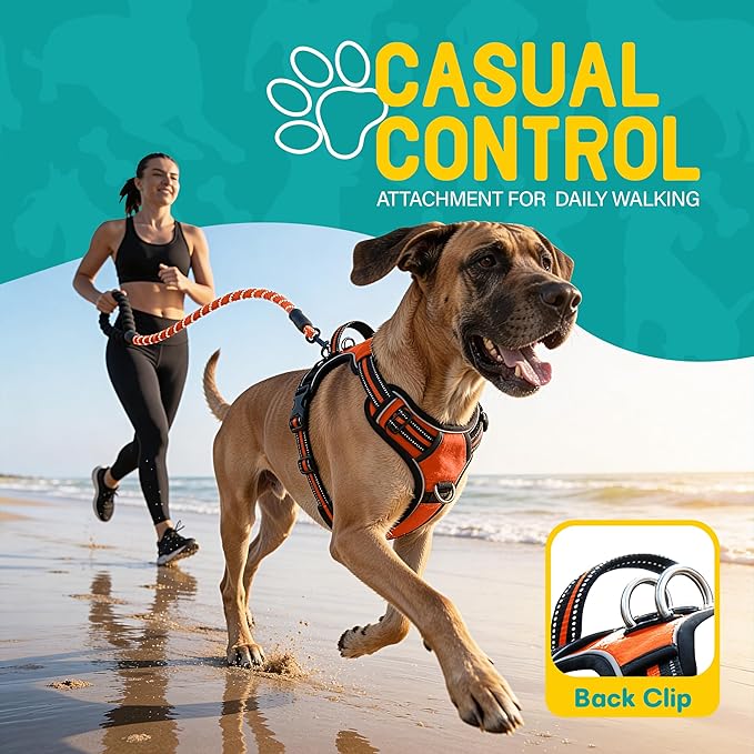 No Pull Dog Harness and Leash Set for Extra Large Dogs – Adjustable Reflective Breathable Soft Padded Easy Control Dog Harness for Training & Walking, Orange (X-Large)