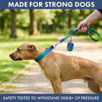 Spark Paws Martingale Dog Collar – Cushioned Slip-On Training Collar, Heavy Duty, Safety-Tested No-Buckle Collar for Medium & Large Dogs - Lime Wave - D