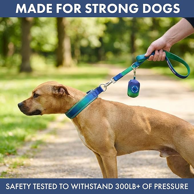 Spark Paws Martingale Dog Collar – Cushioned Slip-On Training Collar, Heavy Duty, Safety-Tested No-Buckle Collar for Medium & Large Dogs - Lime Wave - D