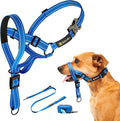 Dog Headcollar with Leash and Safety Strap Stops Heavy Pulling On The Leash Padded Reflective Head Halter for Small Medium Large Dogs Adjustable Head Harness for Training and Walking, (M, Blue)