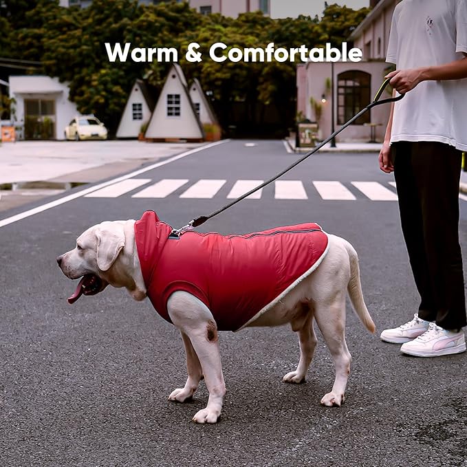 Fleece Lining Dog Hoodie with Harness Built in,Extra Warm Small Dog Jacket in Winter Puppy Coats with Hooded,Red M