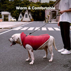 Fleece Lining Dog Hoodie with Harness Built in,Extra Warm Medium Dog Jacket in Winter Doggie Coats with Hooded,Red L