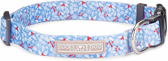 Lucky Love Dog - Adjustable Dog Collar with Easy Click Buckle for Small Dogs, Durable, & Comfortable for Male & Female Dogs, Pet Collar for Puppies & Adult Dogs - Winterblue, Small