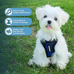 Voyager Step-in Pet Harness - All Weather Mesh, Adjustable Step in Harness for Cats and Dogs by Best Pet Supplies - Royal Blue/Black Trim, L