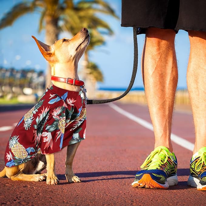 Weewooday 4 Pieces Small Pet Summer T-Shirts Hawaii Style Floral Pet Dog Shirt Breathable Cool Clothes Beach Seaside Puppy Sweatshirt for Puppy(Cute Style,Small)