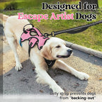 rabbitgoo Escape Proof Dog Harness Medium, Soft Padded Full Body Pet Harness, Reflective Adjustable No Pull Vest with Lift Handle and Leash Clip for Walking Hiking Training, Light Pink, M