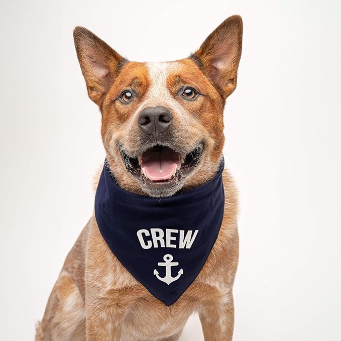 Crew Anchor Boat Dog Bandana | 100% Cotton | Made in USA | Boat & Fishing | Captain | Beach & Lake | Summer | Outdoors | Father's Day | Hot Pink, X-Small