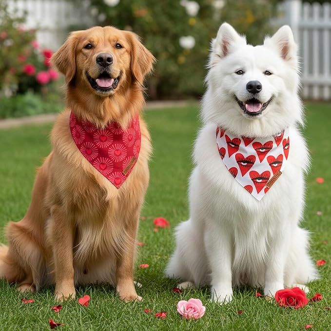 ADOGGYGO Valentines Dog Bandana 2 Pack, Heart Sunburst Eyelash Print Pet Scarf, Durable Fabric, Red Pink Valentine Bandanas for Extra Large Dogs (X-Large)