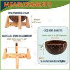 Raised Dog Bowl for Small Dogs - Elevated Natural Coconut Shell Bowl with Wood Stand - Around 20-oz Capacity - Suitable of Wet and Dry Dog Foods