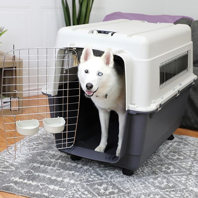 SportPet Airline Compliant XX-LARGE 36" Travel Dog Kennel-Durable Plastic Airline Pet Carrier w/ Removable Wheels & Food Bowls, Collapsible Indoor/Outdoor Dog Kennel, Dogs up to 36"L & 27"H-Cream/Gray