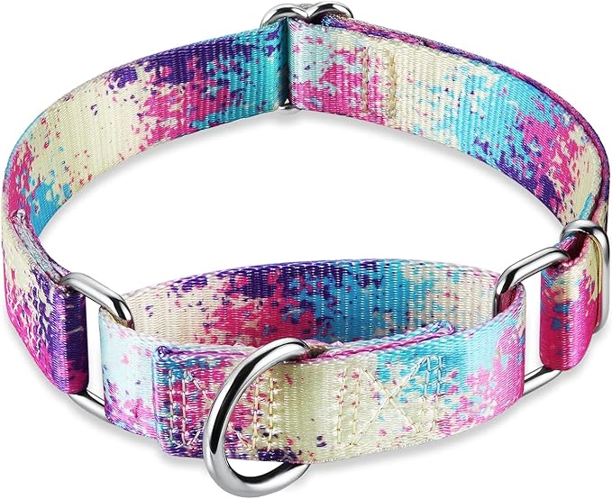 Martingale Dog Collar Escape-Proof for Training - No-Buckle, Durable Polyester Design for Medium Breeds (Profusion Colorful, M)