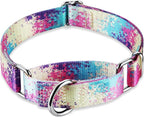 Martingale Collar for Dogs Escape-Proof No-Pull, Durable Polyester Training Collar for Dogs, No-Buckle (Profusion Colorful, Large)