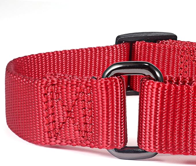 Premium Nylon Adjustable Anti-Escape Martingale Dog Collars,Comfort and Durable Dog Collar with Sturdy D-Ring for Small Breed Dogs Daily Helper. (Chili Pepper, Small)