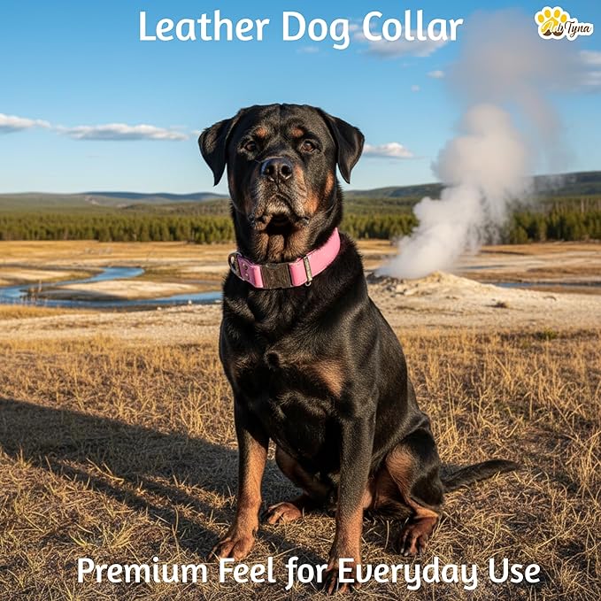 ADITYNA Pink Leather Dog Collar with Metal Buckle - Heavy-Duty, Adjustable for Large & Extra Large Girl Dogs - Walking & Training (Pink, Fits 19-30" Necks)