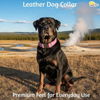 ADITYNA Pink Leather Dog Collar with Metal Buckle - Heavy-Duty, Adjustable for Large & Extra Large Girl Dogs - Walking & Training (Pink, Fits 19-30" Necks)