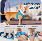 Eagloo Small Dog Harness and Leash Set, Step in Puppy Vest with Breathable Soft Mesh, Walking Reflective Pet Harness for Small Dogs, Blue, S