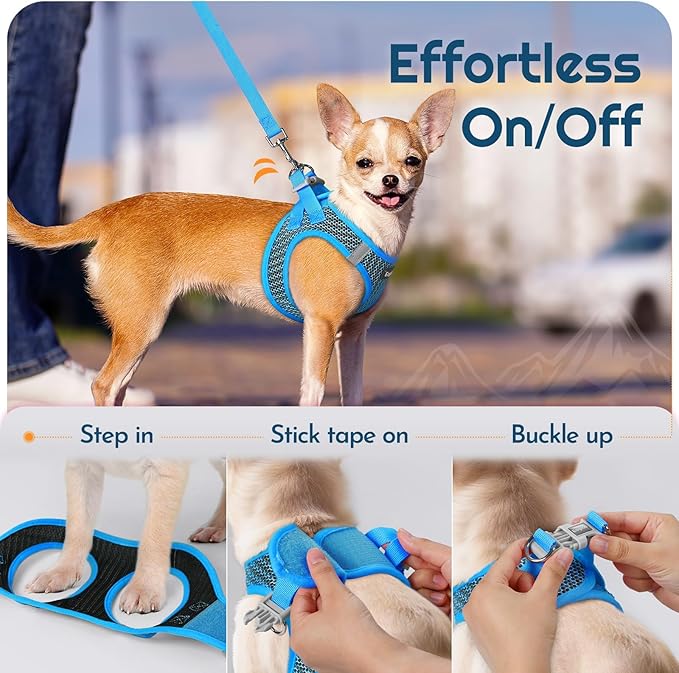 Eagloo Small Dog Harness and Leash Set, Step in Puppy Vest with Breathable Soft Mesh, Walking Reflective Pet Harness for Small Dogs, Blue, S