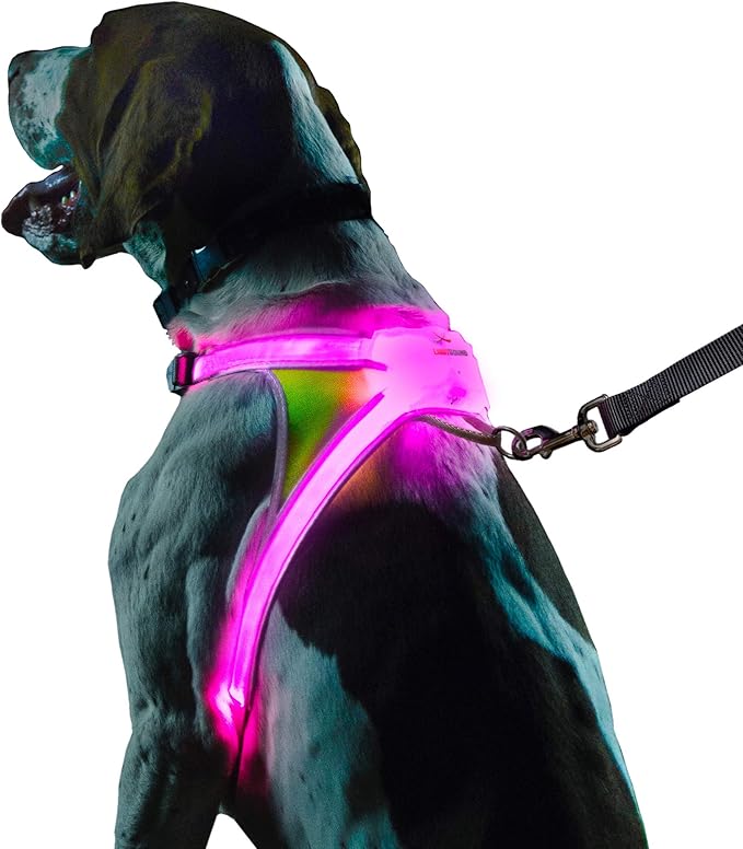 Noxgear LightHound - Revolutionary Illuminated and Reflective Vest for Dogs Including Multicolored LED Fiber Optics (USB Rechargeable, Adjustable, Lightweight, Rainproof) (Medium)