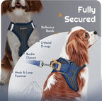 Eagloo Small Dog Harness and Leash Set, Step in Puppy Vest with Breathable Soft Mesh, Walking Reflective Pet Harness for Small Dogs, Navy Blue, S