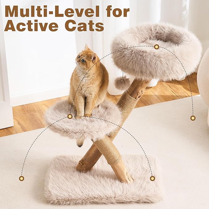HITTITE Natural Solid Wood Cat Tree Tower with Scratching Post, 32 Inches Tall Modern Cat Tower with Cozy Bed and Platforms, Luxury Real Branch Cat Tree for Indoor Cats Large Adult, Khaki.