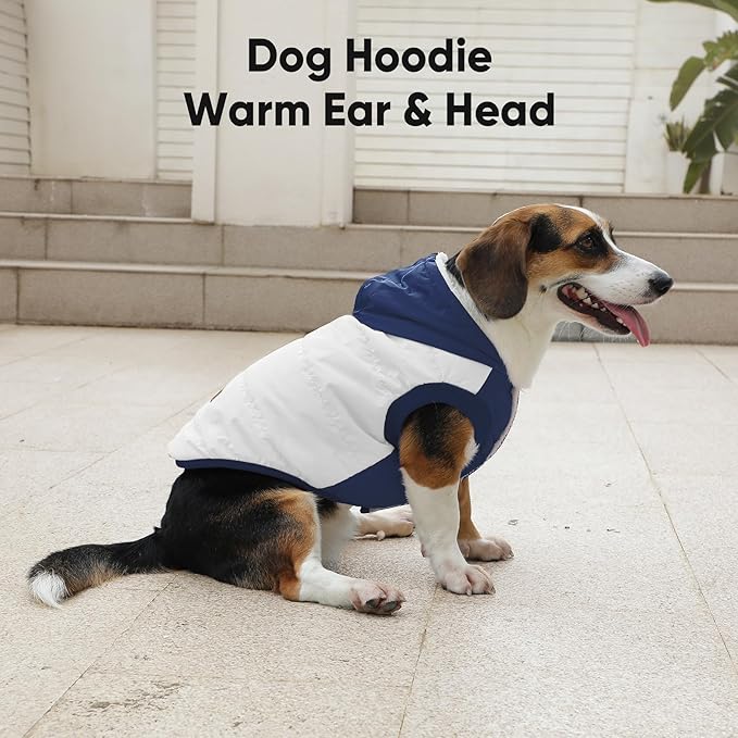 Fleece Lining Extra Warm Dog Hoodie in Winter,Small Dog Jacket Puppy Coats with Hooded,Beige and Blue S