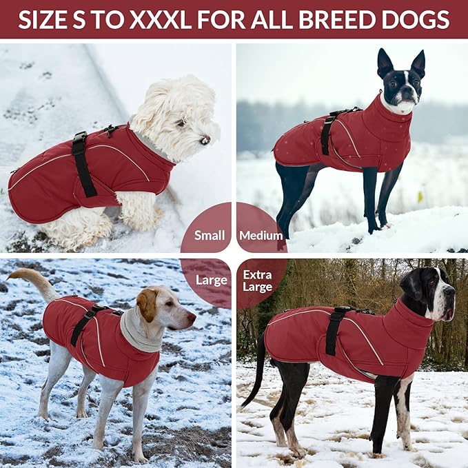 Queenmore Medium Dog Coat, Winter Dog Jacket, Waterproof Puffy Dog Snowsuit, Adjustable Reflective Fleece Lining Warm Padding Parka for Cold Weather, Red M