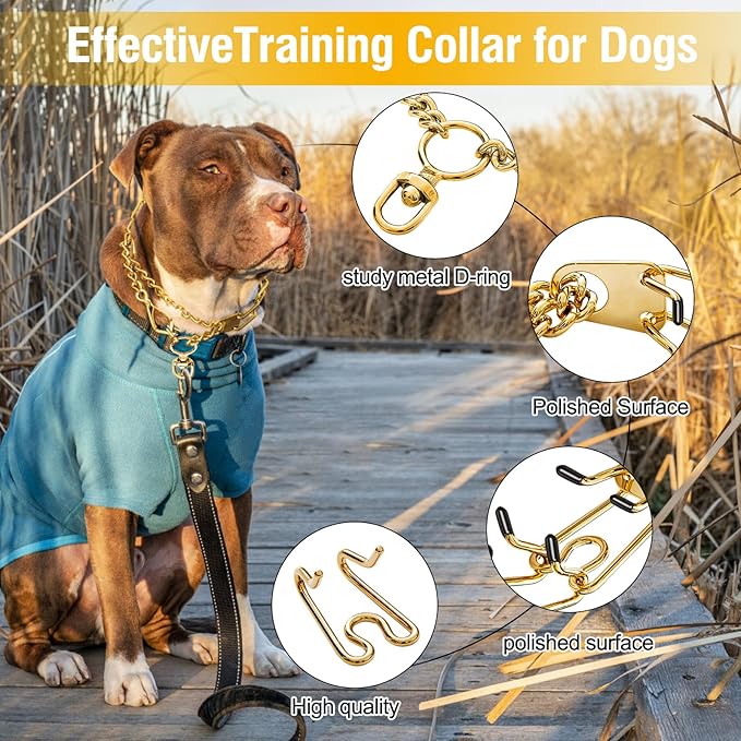 Stainless Steel Dog Pinch Collar - Gold Prong Martingale Collar, Adjustable Size for Medium & Large Dogs (XL, Gold)