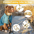 Dog Pinch Collar Stainless Steel,Gold Prong Dog Training Collar,No Pull Martingale Collar Stainless Steel Metal Chain Collar,Adjustable Size Collar for Medium and Large Dogs (L, Gold)