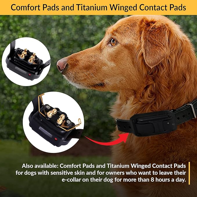 Educator Brand Only Contact Points Fits E-Collar Remote Dog Training Collars, Titanium, Short 5/8-Inch