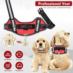Service Dog Vest, ID Tag 50 ADA Information Cards, Service Dog Harness w Patch in Sizes XX Small to XXX Large, Metal Dog Tag has Ruggedized Clip, Service Animal Cards, ESA Accessory Set XX-Small