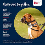 Halti Optifit Headcollar - Stop Your Dog Pulling on the Leash. Adjustable, Reflective and Lightweight, with Padded Nose Band. Dog Training Anti-Pull Collar for Large Dogs (Size Large)
