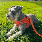 Joytale Small Dog Harness, Breathable Mesh Step-in Vest, Reflective Soft Padded Harnesses for Medium Dogs, Orange, XL