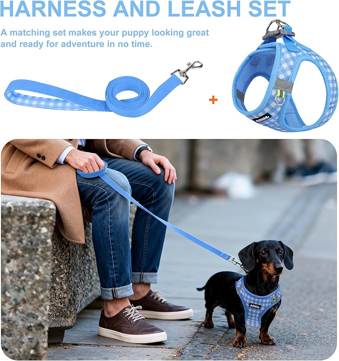 AIITLE No-Pull Pet Harness with a Leash, Plaid Comfort Padded Vest, Step in Dog Harness, Reflective Bands, Soft Breathable Pet Supplies, for Small and Medium Dogs and Cats Blue S